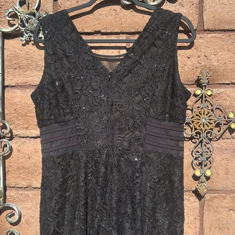Alexa B Lace Mesh Maxi Dress Sequins V-neck Witchy Whimsigoth Goth Fairy Sz 14 - Picture 6 of 11